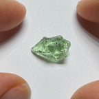 Merelani Mint Garnet