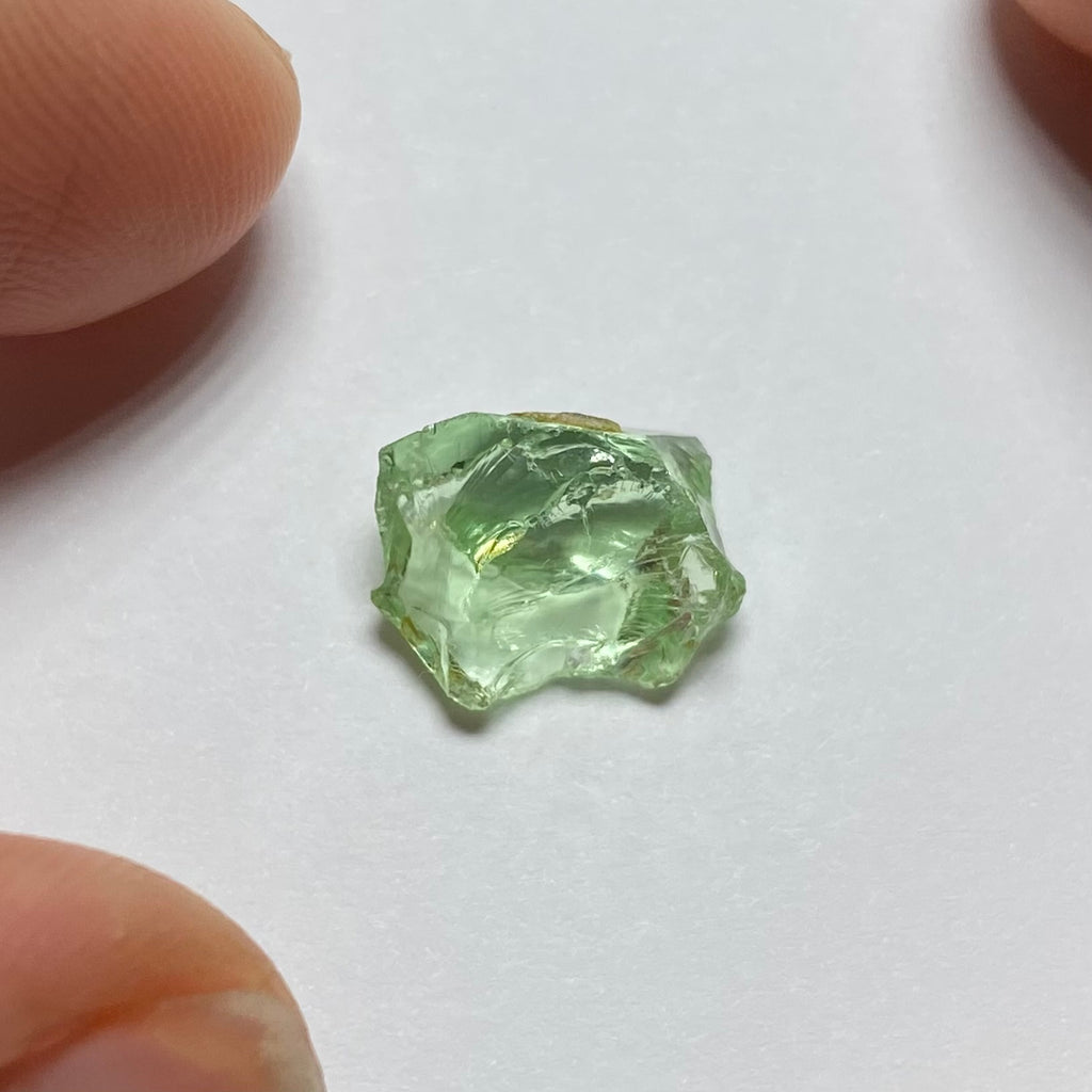 Merelani Mint Garnet