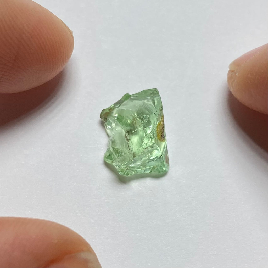 Merelani Mint Garnet