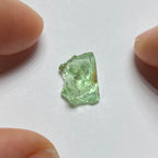 Merelani Mint Garnet