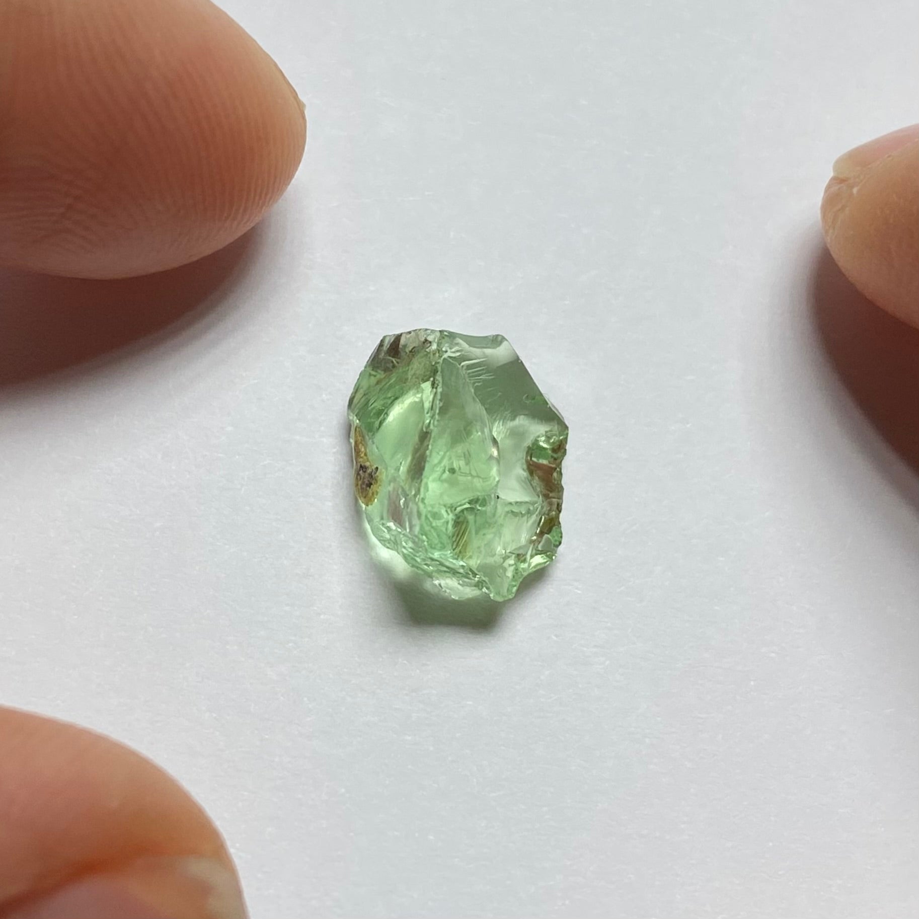 Merelani Mint Garnet