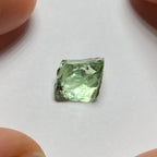 Merelani Mint Garnet