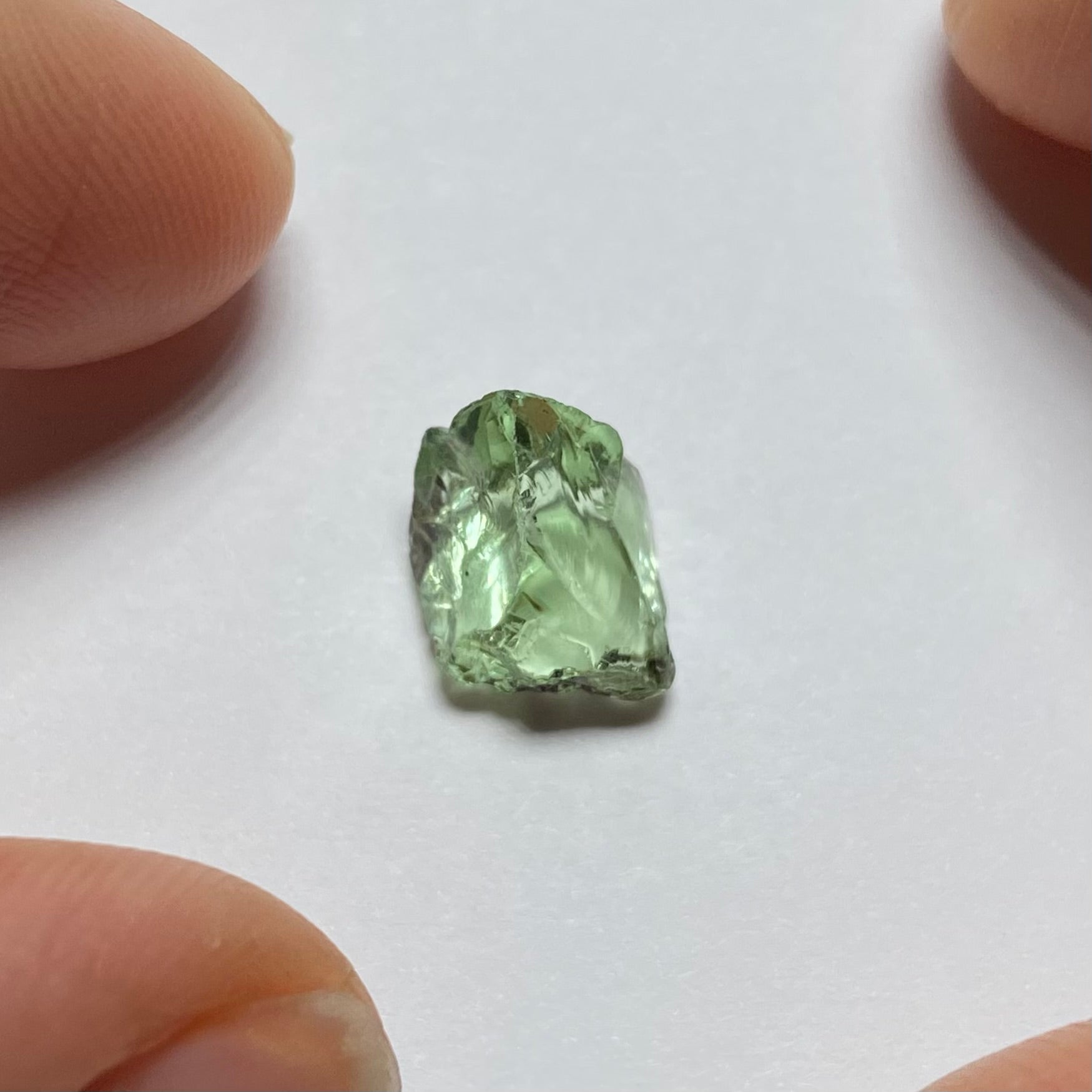 Merelani Mint Garnet
