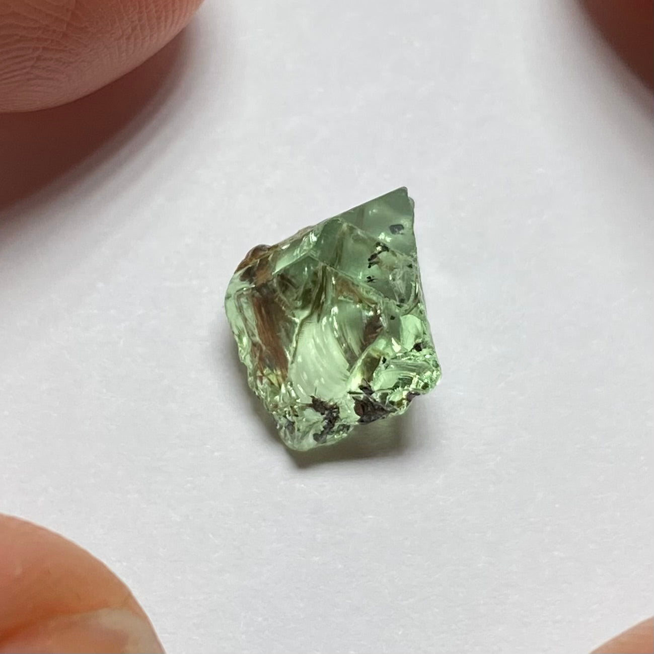 Merelani Mint Garnet