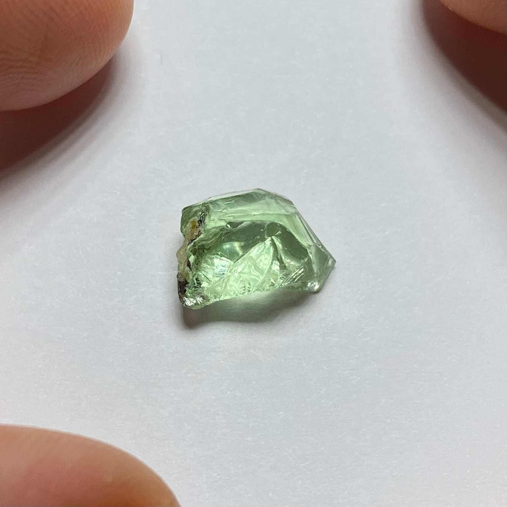 Merelani Mint Garnet