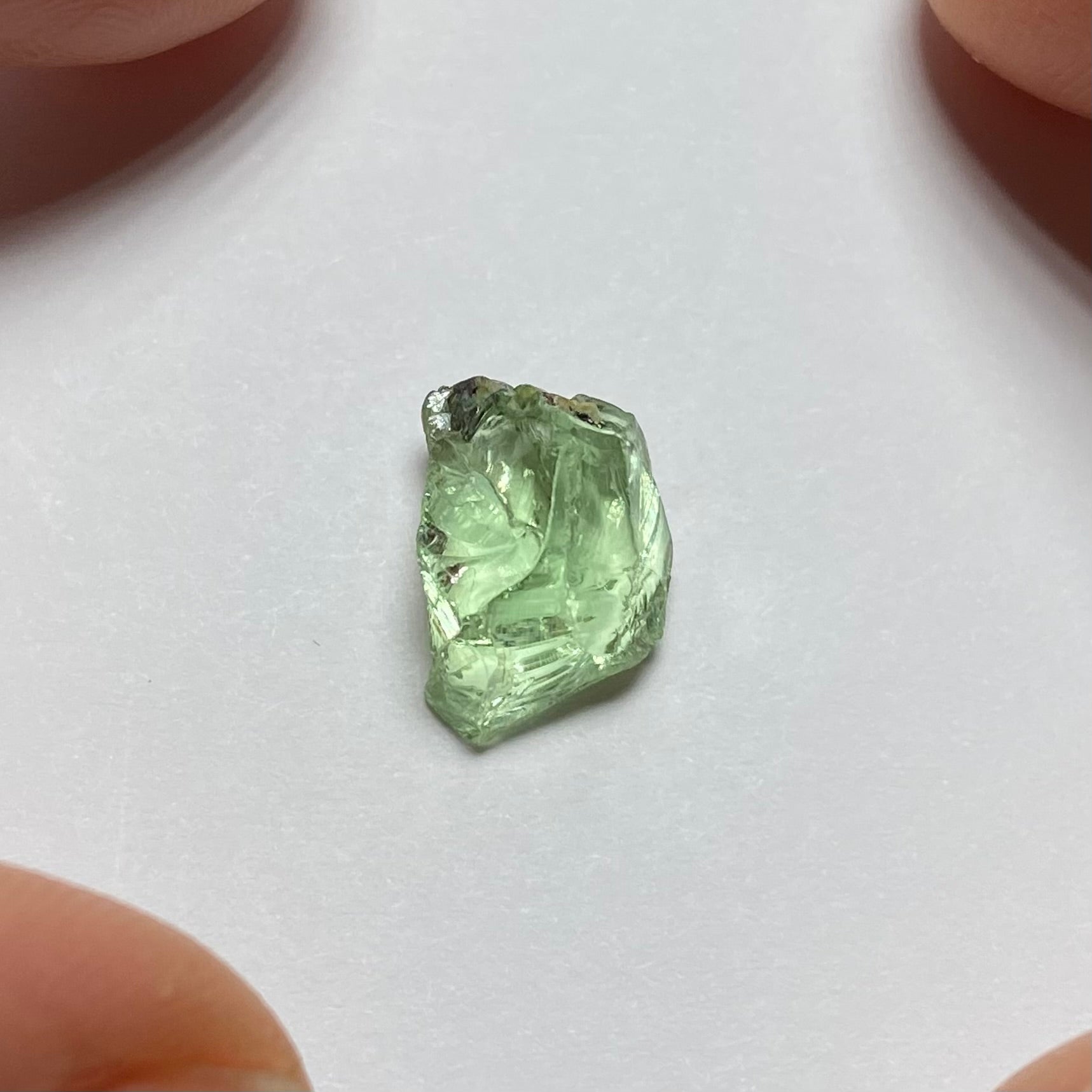 Merelani Mint Garnet