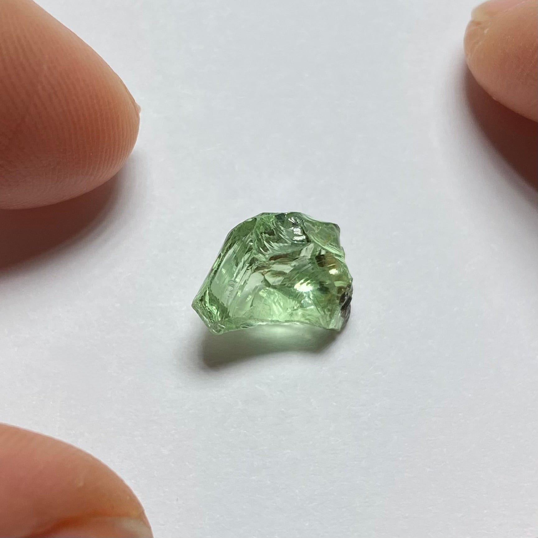 Merelani Mint Garnet