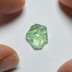 Merelani Mint Garnet