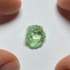 Merelani Mint Garnet