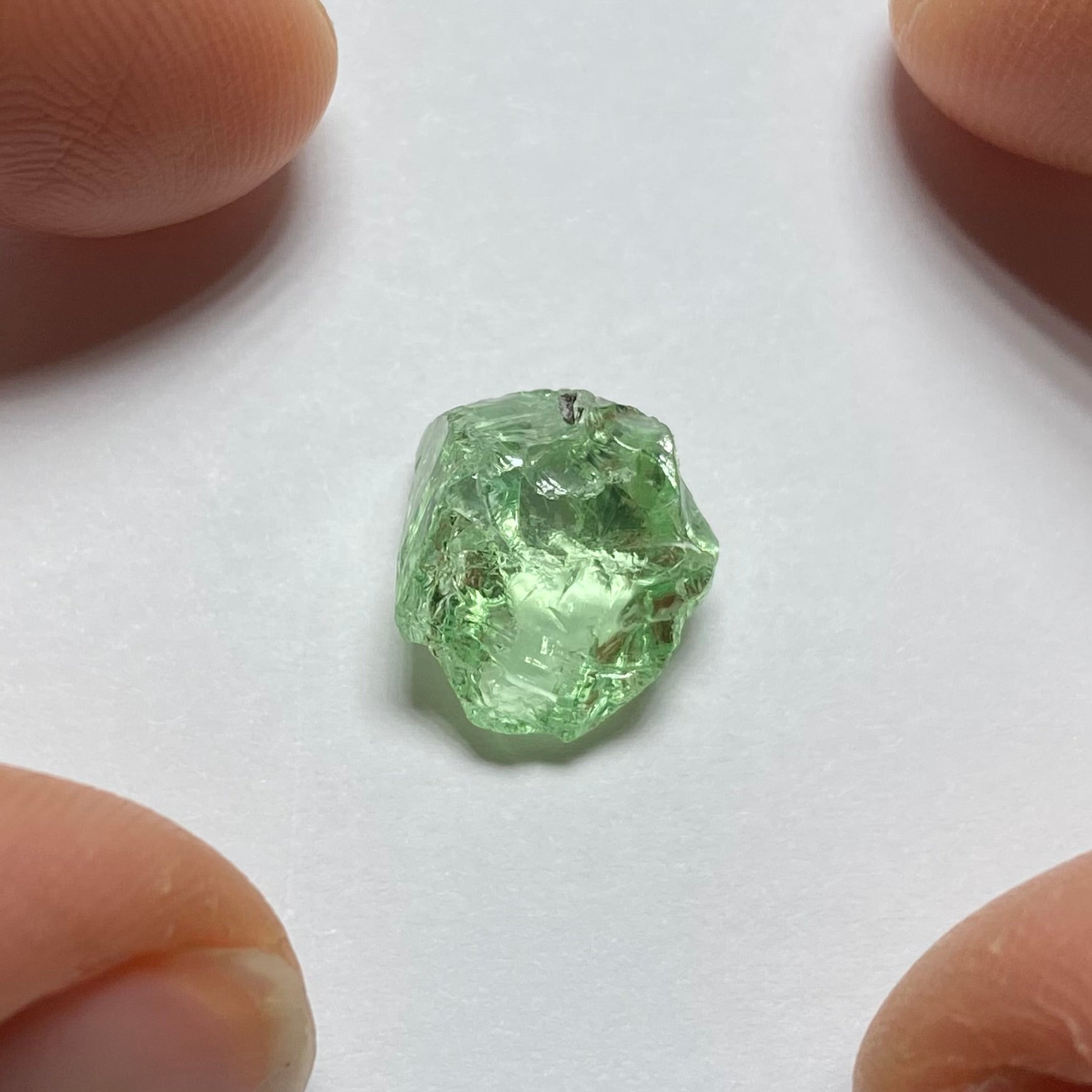 Merelani Mint Garnet