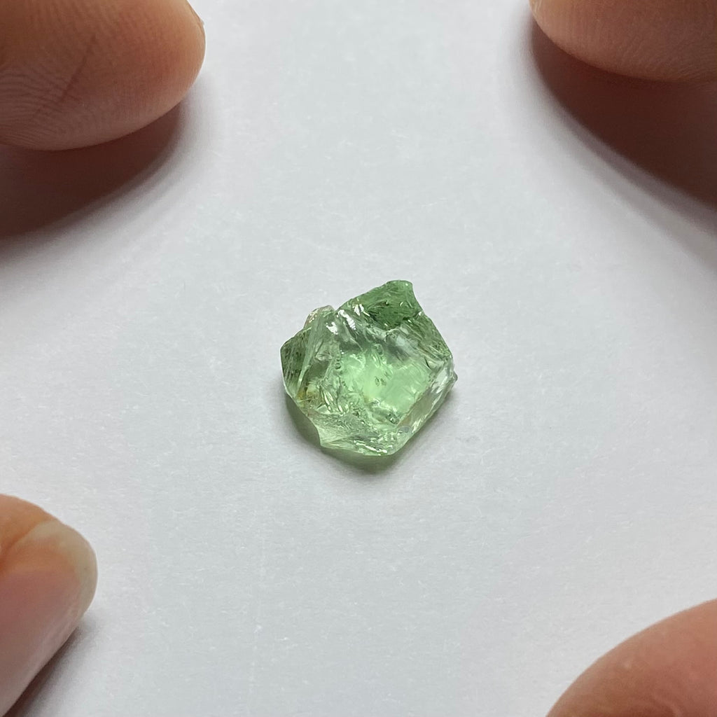 Merelani Mint Garnet