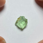 Merelani Mint Garnet