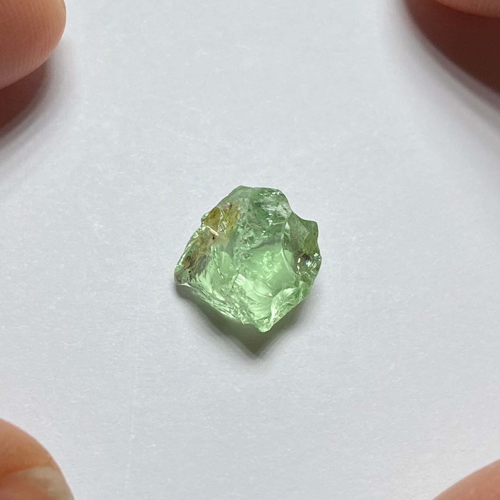 Merelani Mint Garnet