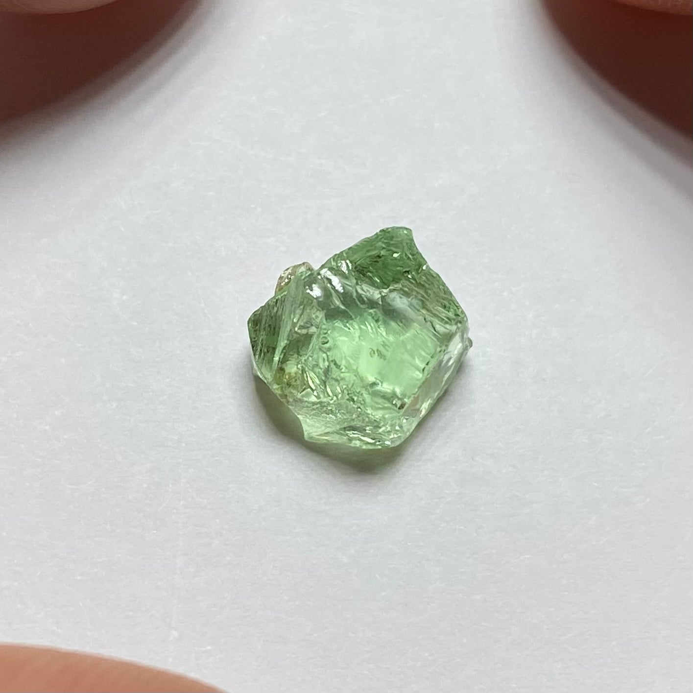 Merelani Mint Garnet