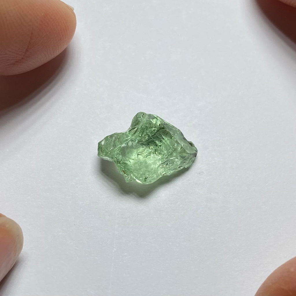 Merelani Mint Garnet