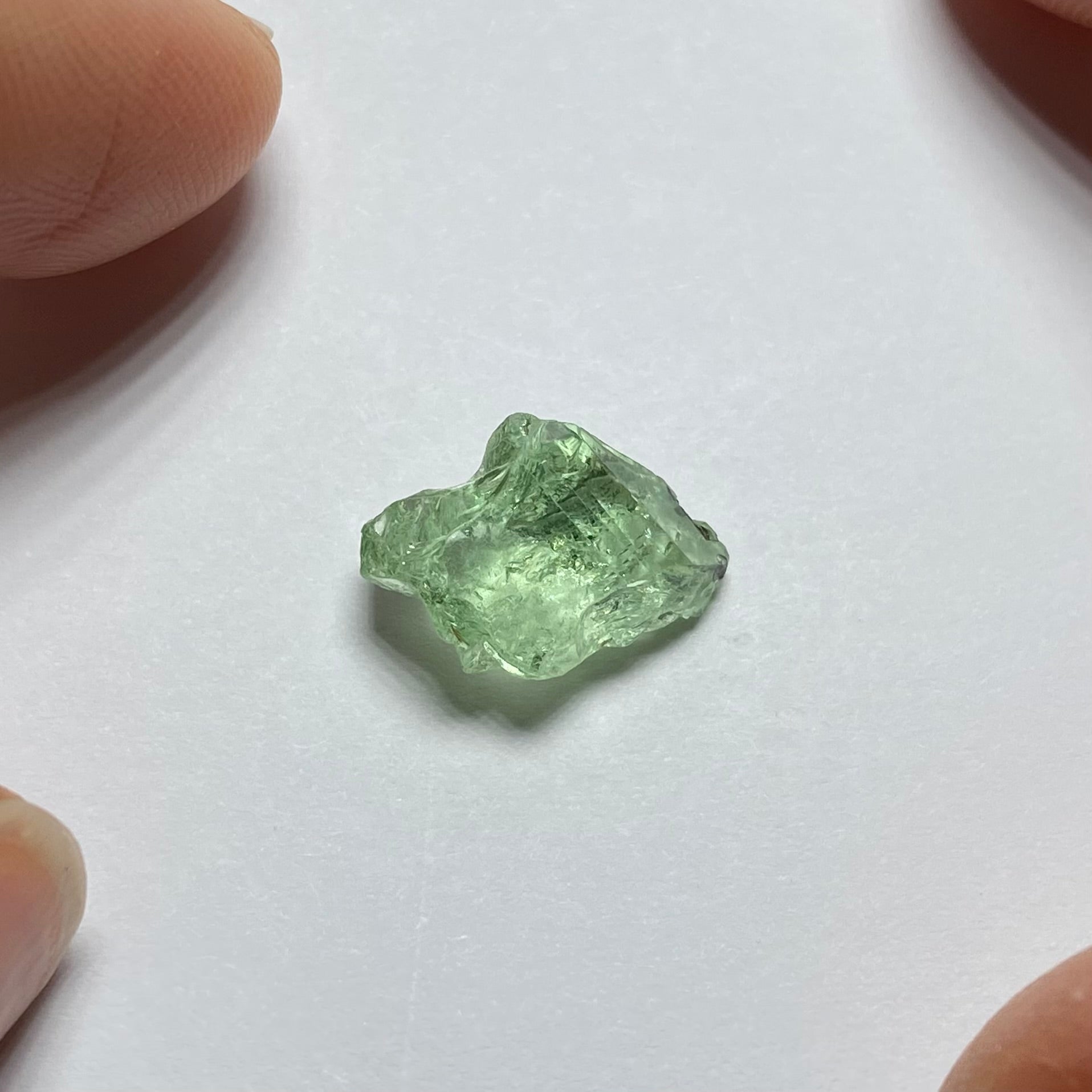 Merelani Mint Garnet