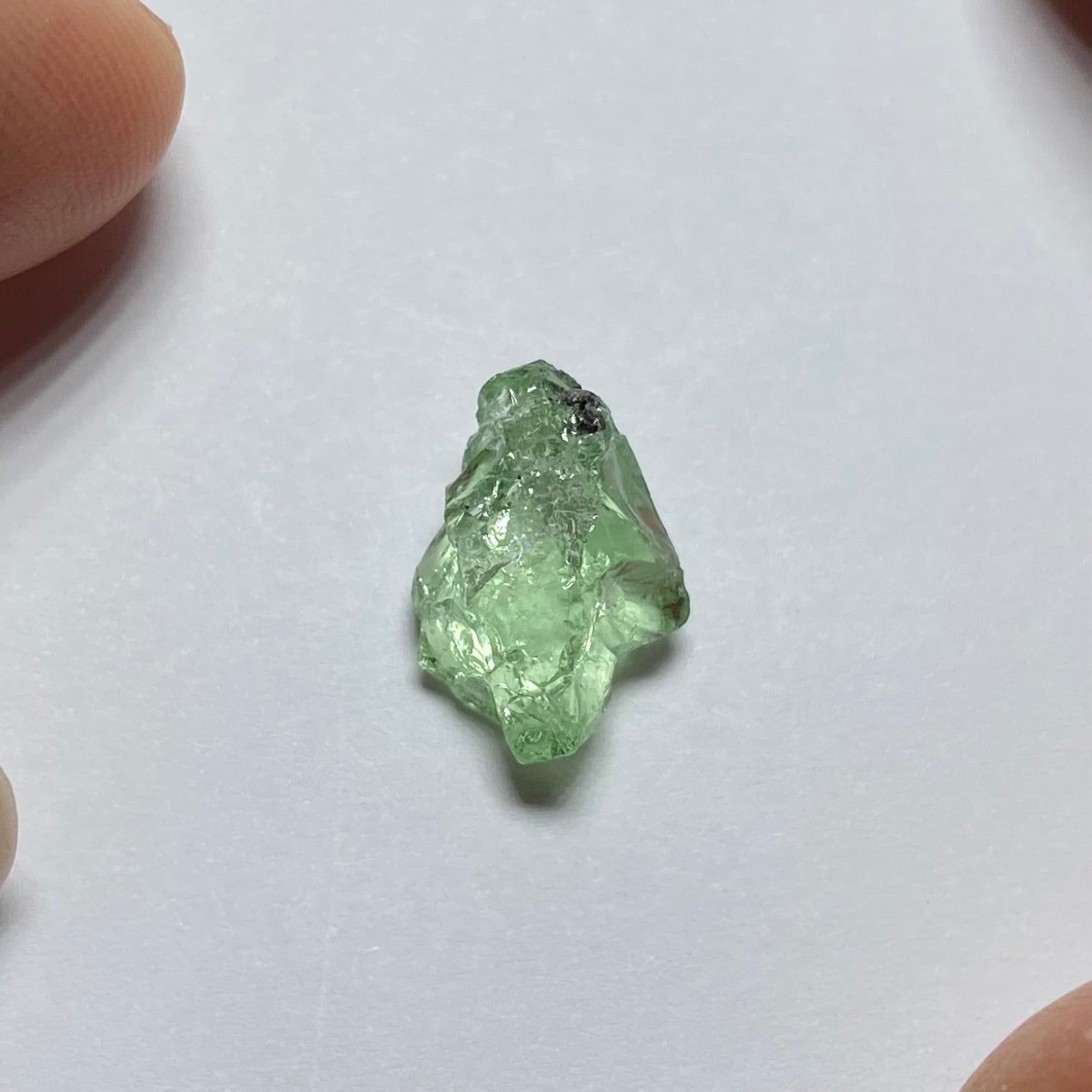 Merelani Mint Garnet