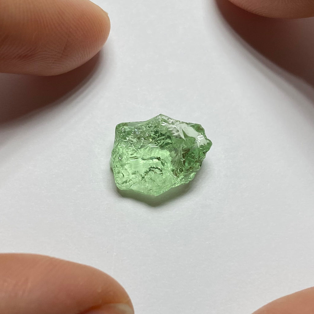 Merelani Mint Garnet