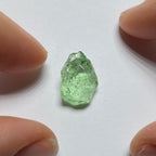 Merelani Mint Garnet