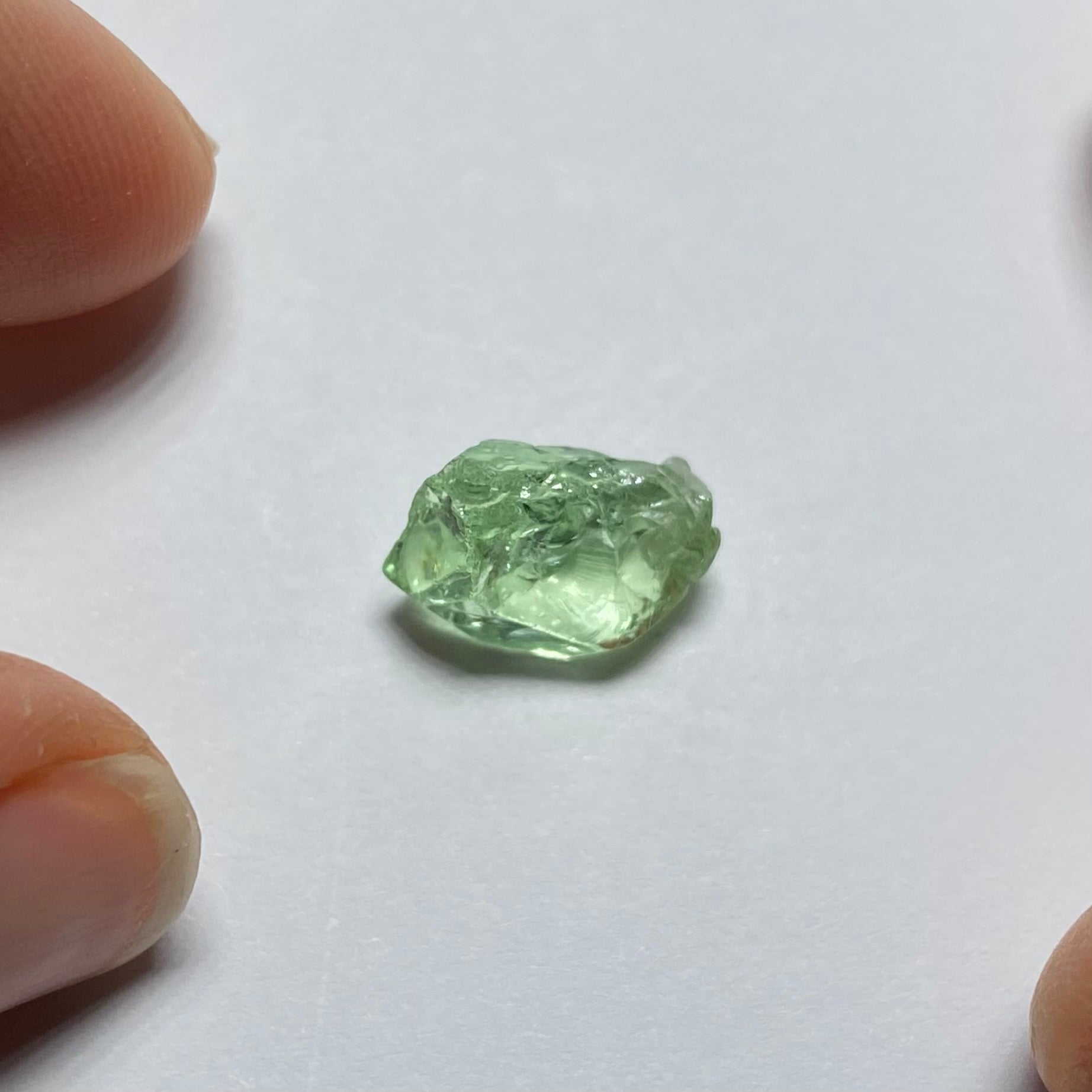 Merelani Mint Garnet