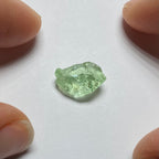 Merelani Mint Garnet