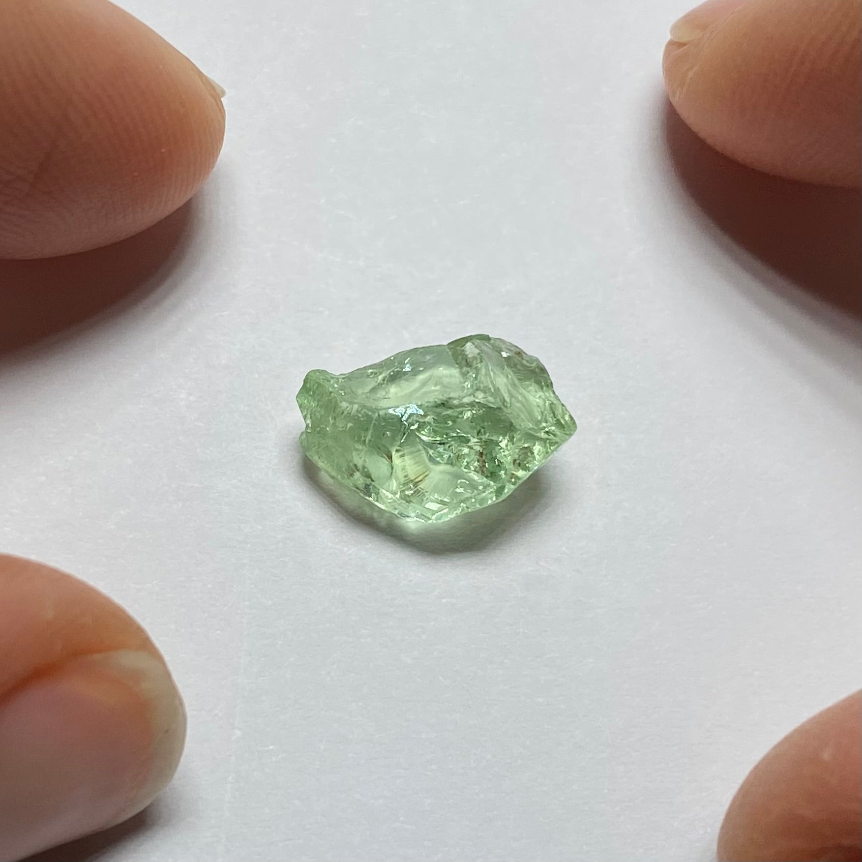 Merelani Mint Garnet