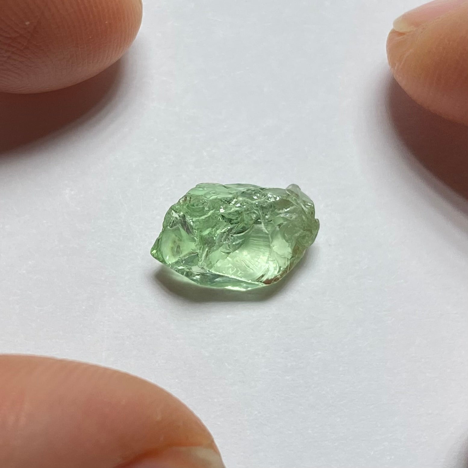 Merelani Mint Garnet