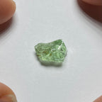 Merelani Mint Garnet