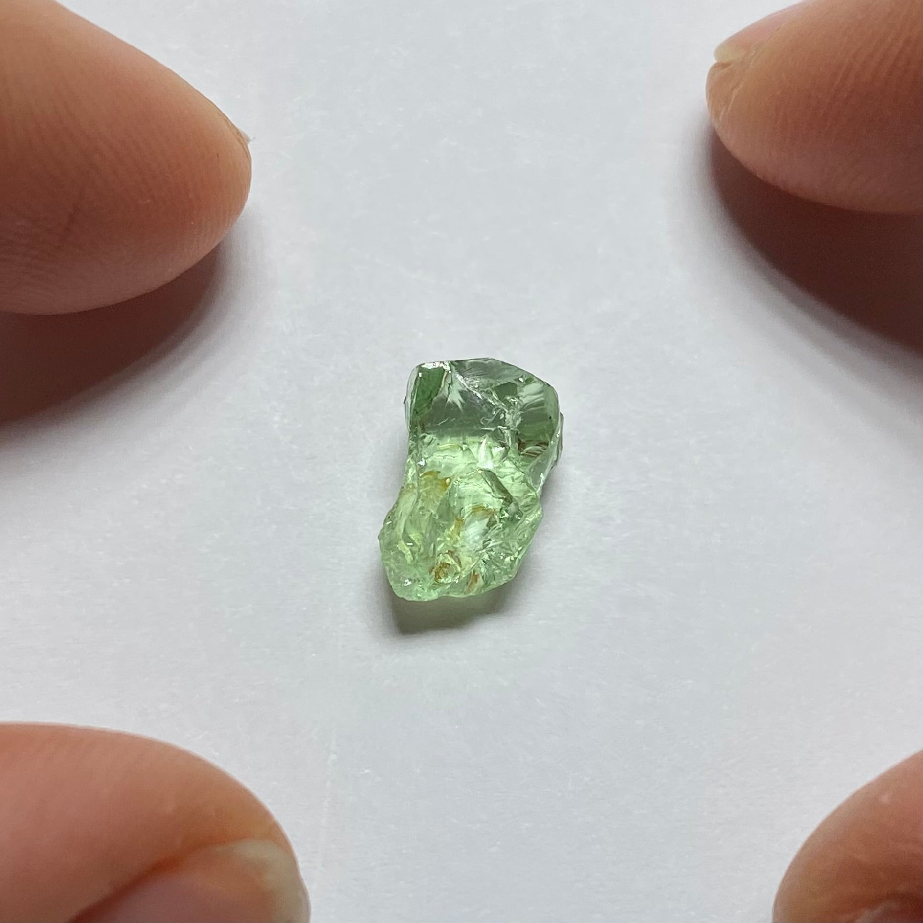 Merelani Mint Garnet