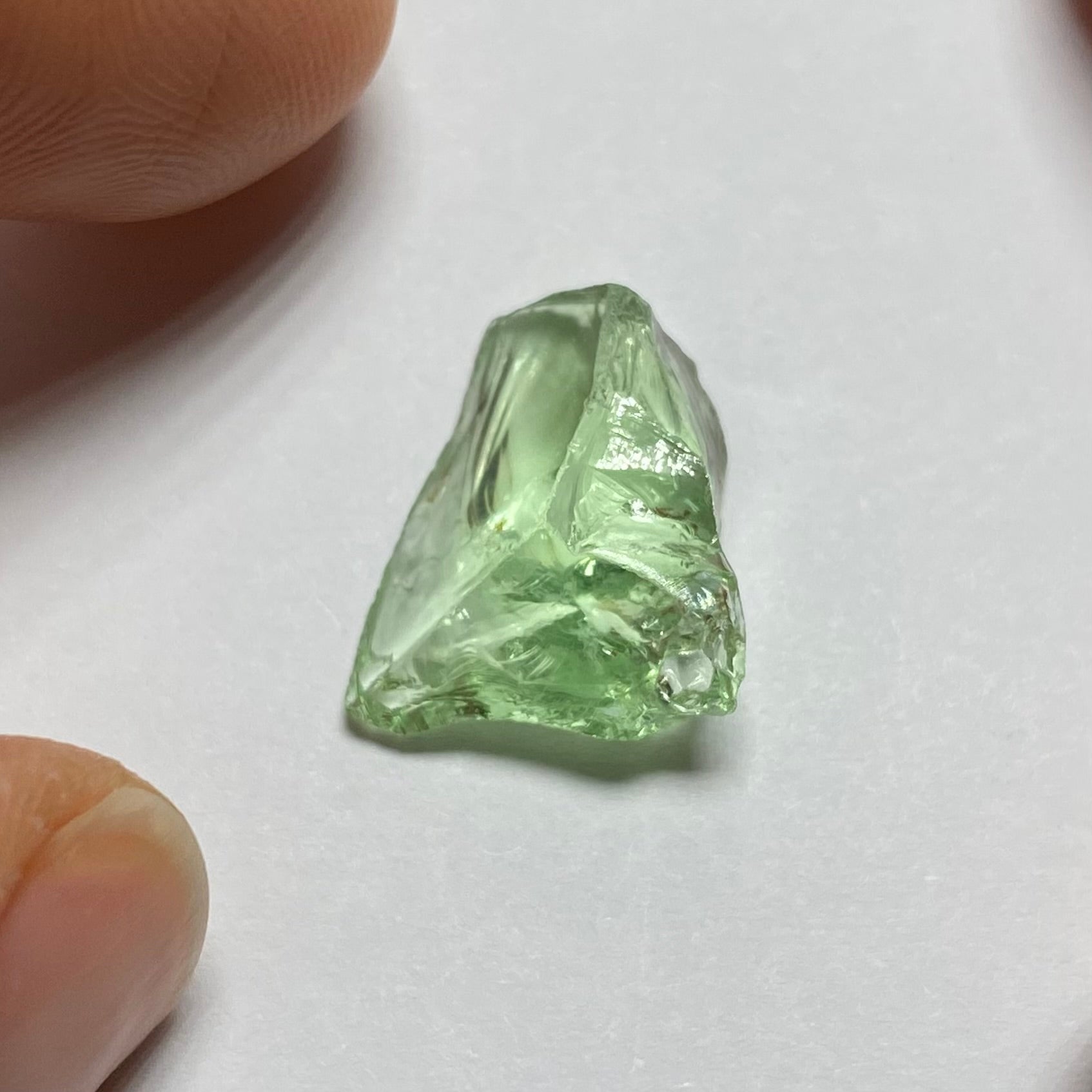 Merelani Mint Garnet