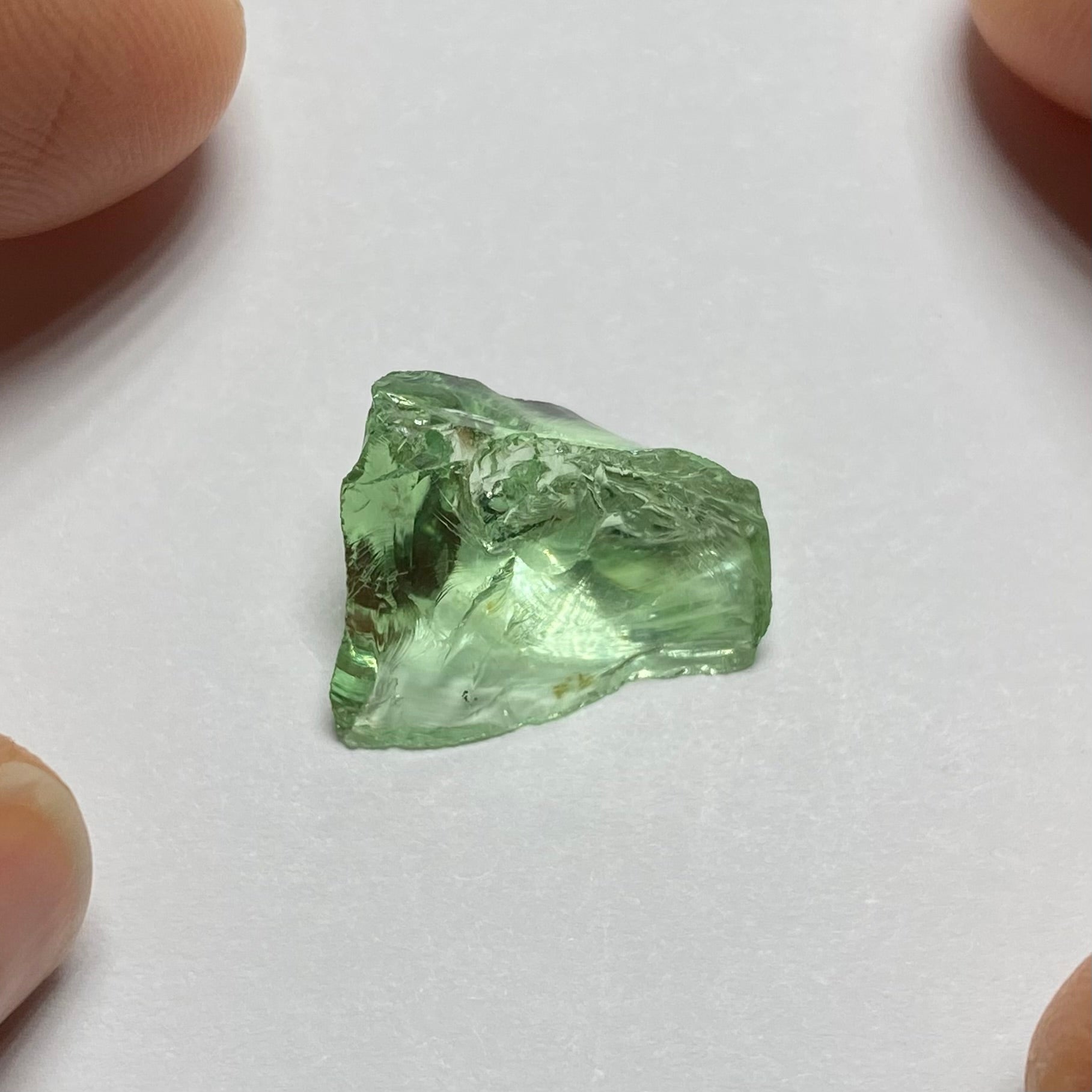 Merelani Mint Garnet