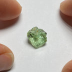 Merelani Mint Garnet