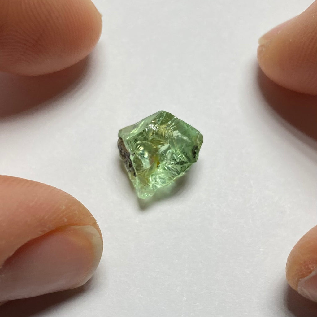 Merelani Mint Garnet