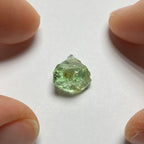 Merelani Mint Garnet