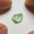 Merelani Mint Garnet