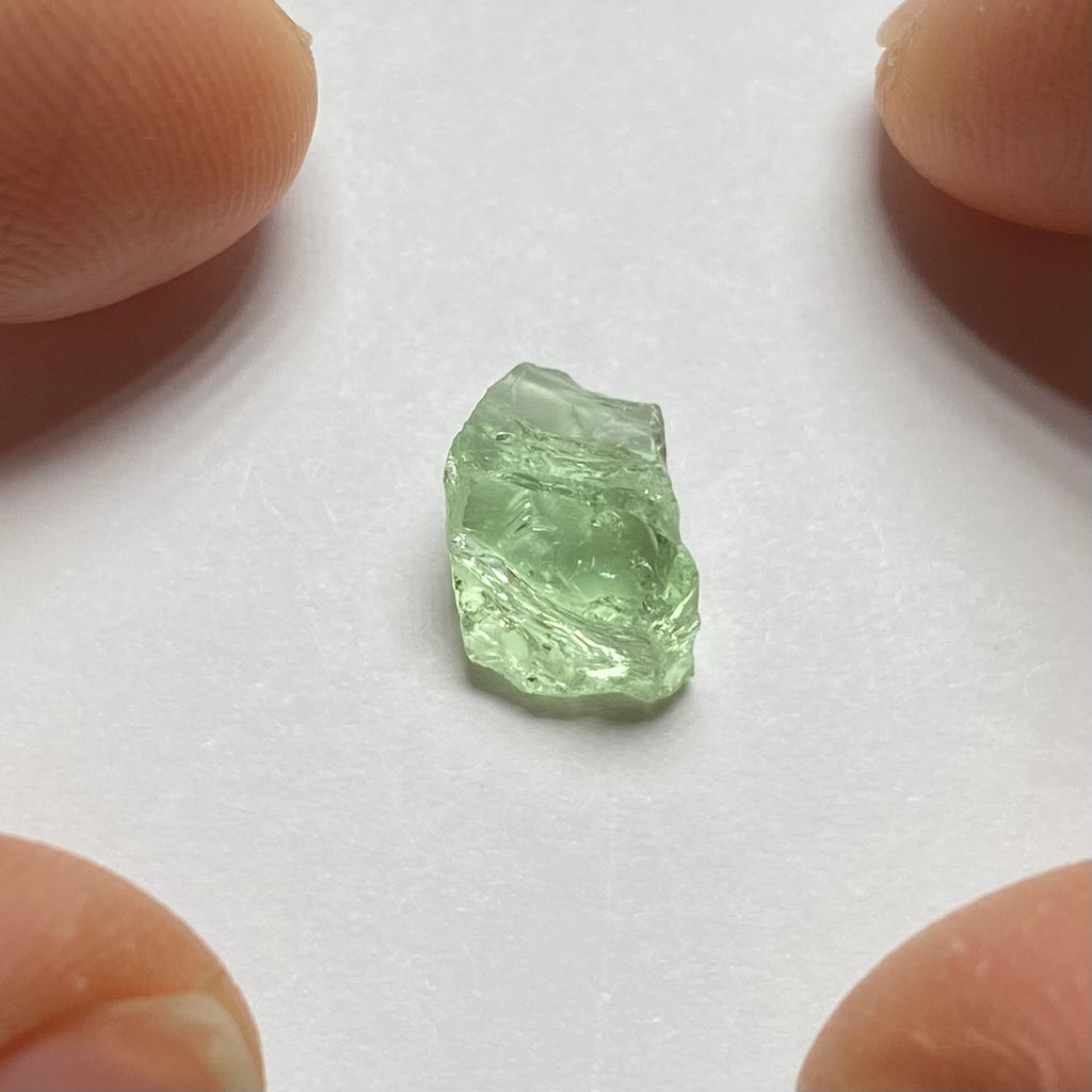 Merelani Mint Garnet