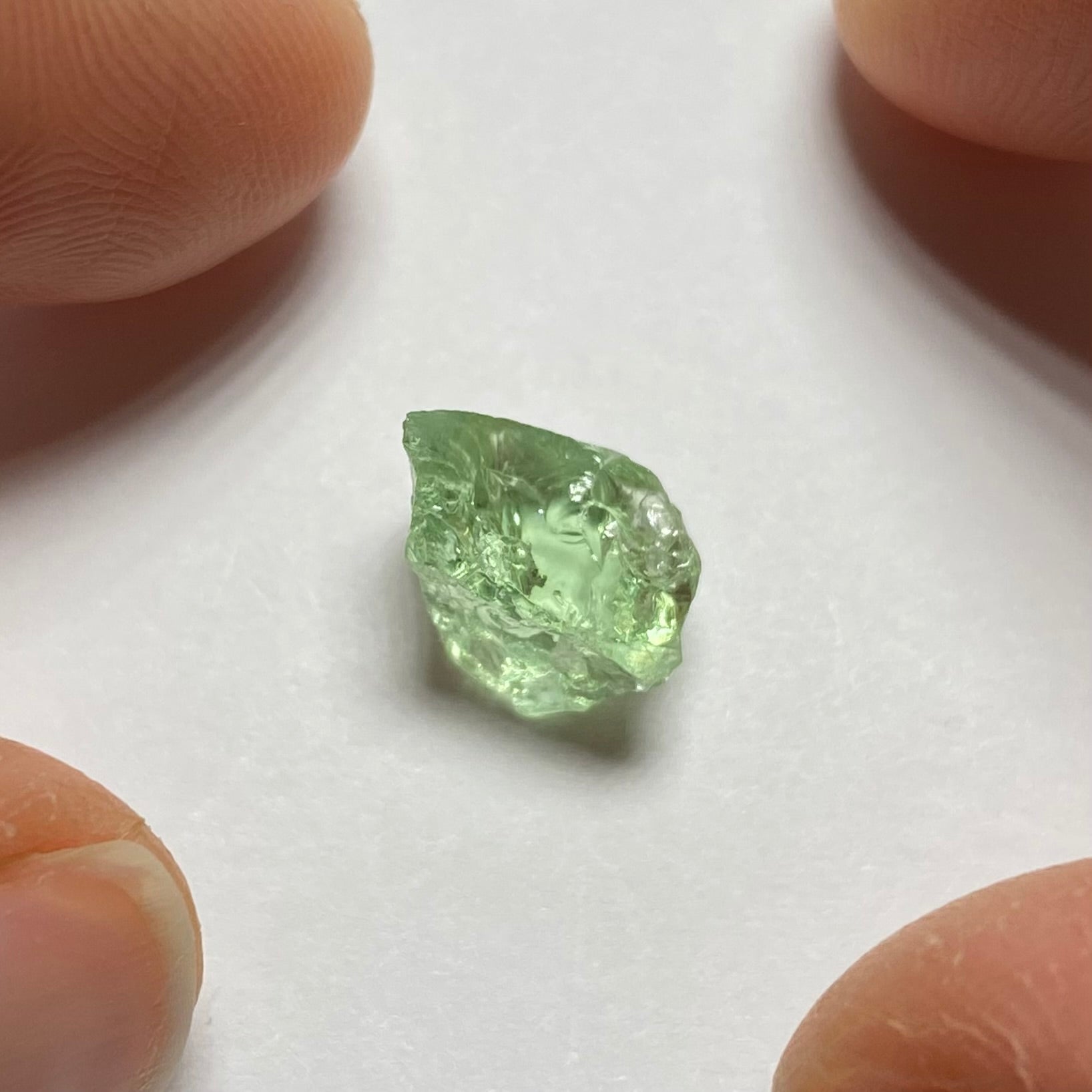 Merelani Mint Garnet