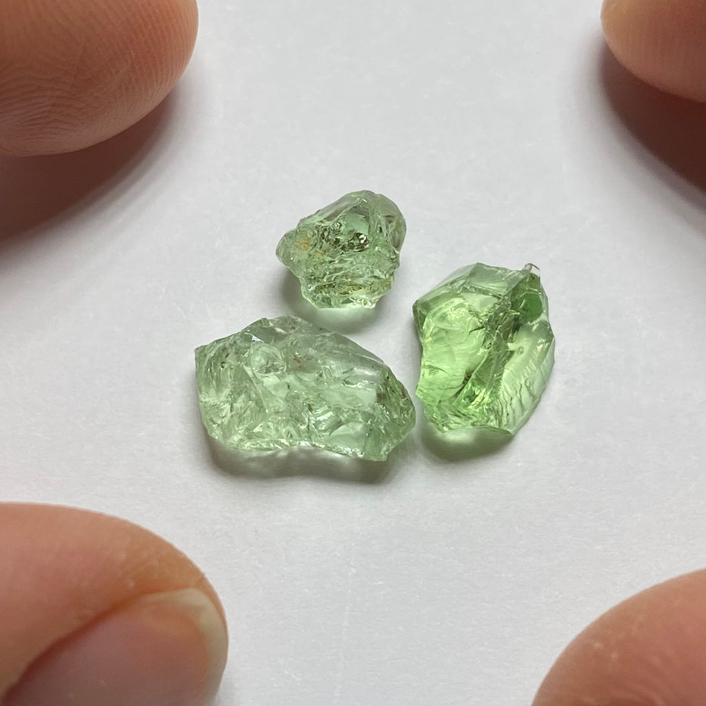 Merelani Mint Garnets