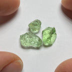 Merelani Mint Garnets