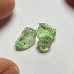 Merelani Mint Garnets