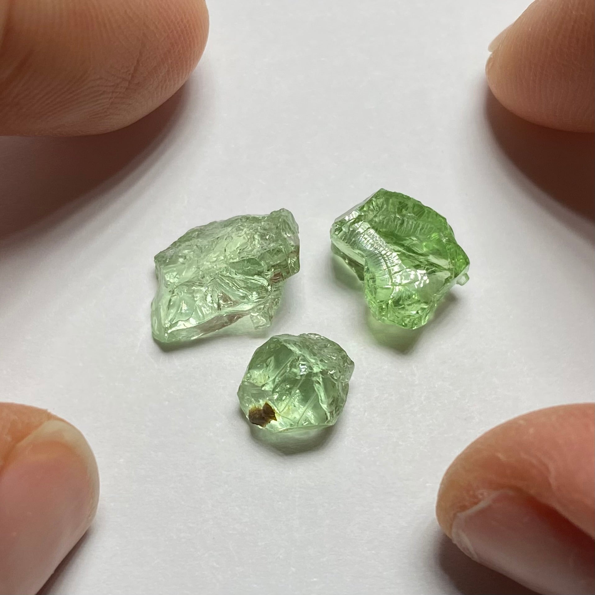 Merelani Mint Garnets