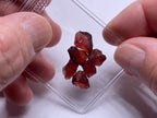Malaya Garnet – Umba Valley, Tanzania