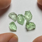 Merelani Mint Garnets