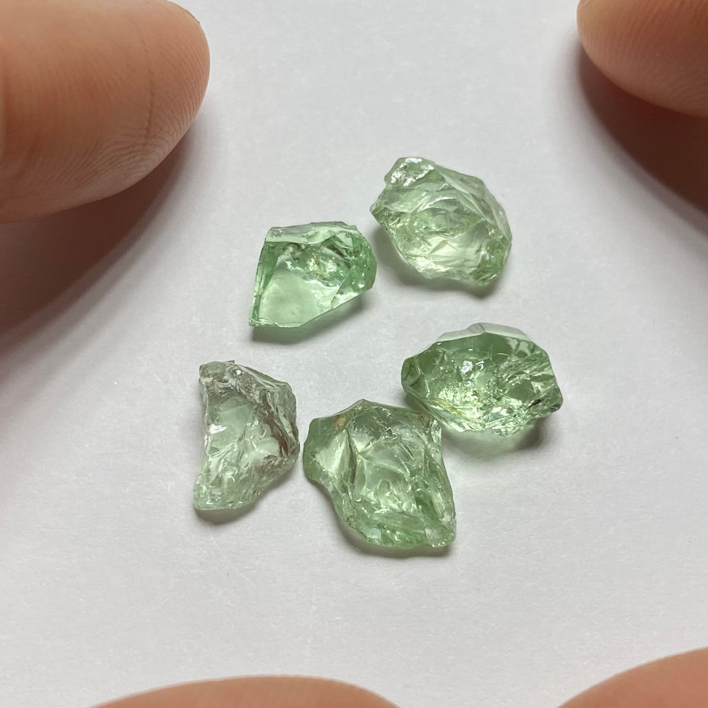 Merelani Mint Garnets