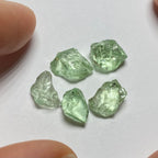 Merelani Mint Garnets
