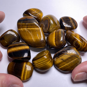 Tigers-Eye