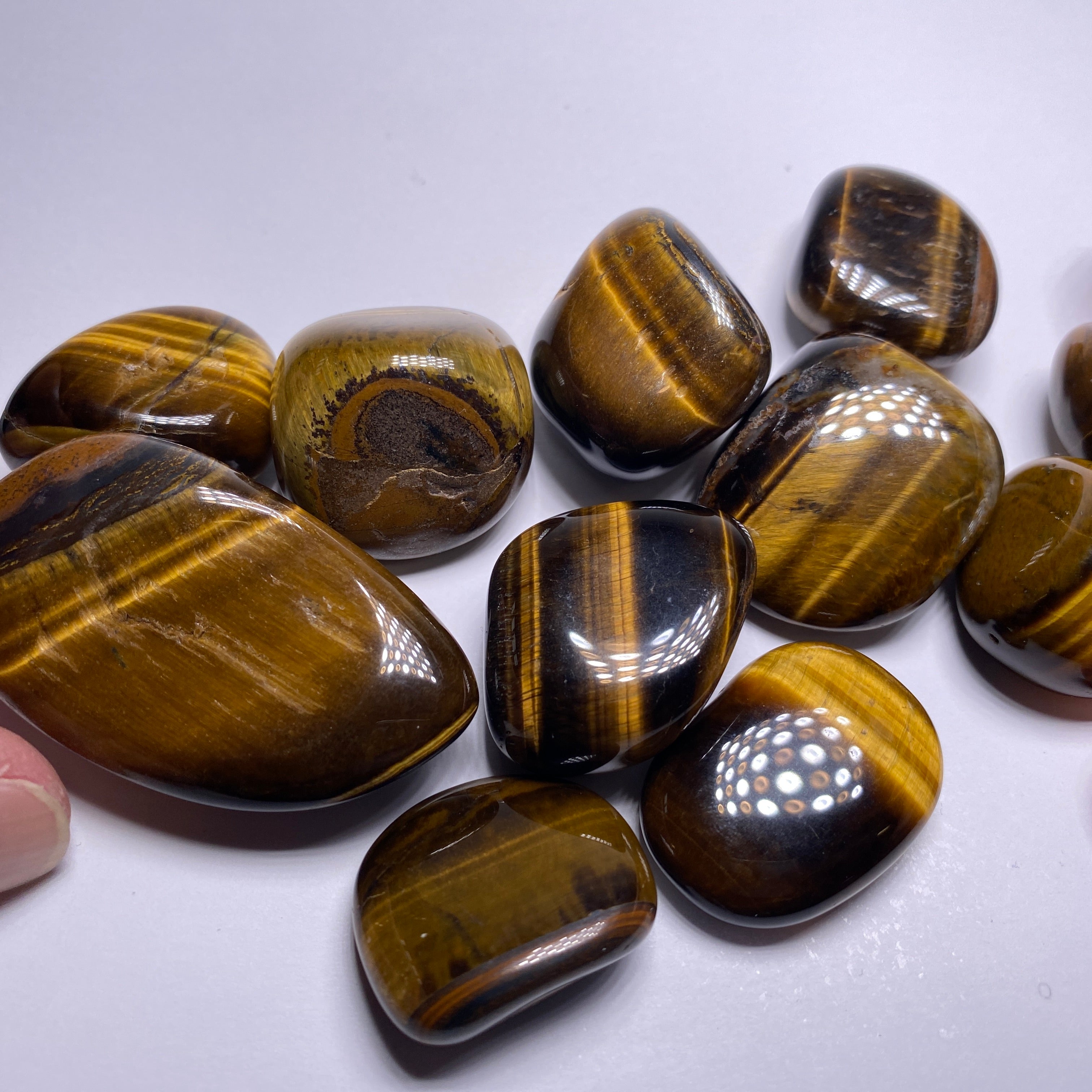 Tigers-Eye
