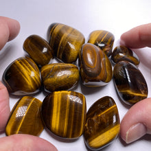 Load image into Gallery viewer, Tigers-Eye
