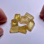 Golden Scapolite - Tanzania