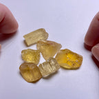 Golden Scapolite - Tanzania